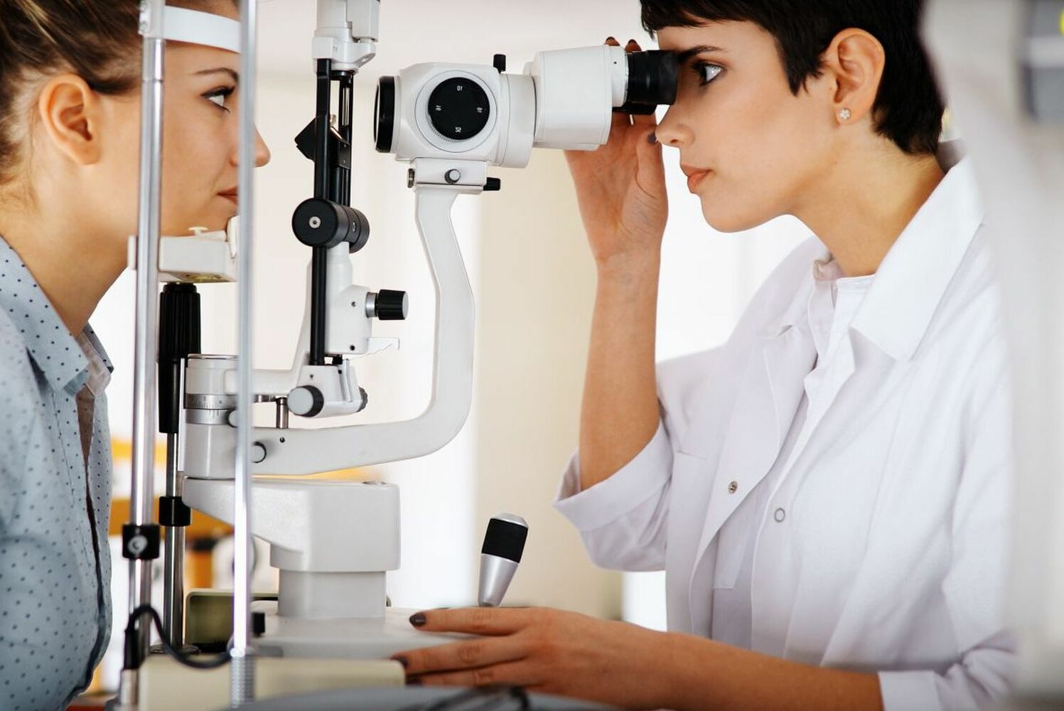 Bachelor of Vision Science